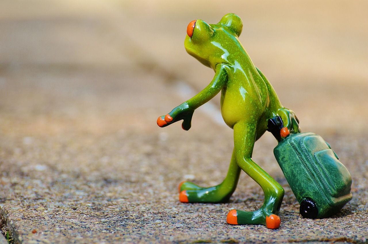 entdecken sie spannende reiseziele, nützliche tipps und inspiration rund ums reisen. planen sie ihren nächsten urlaub mit unseren aktuellen guides und empfehlungen!