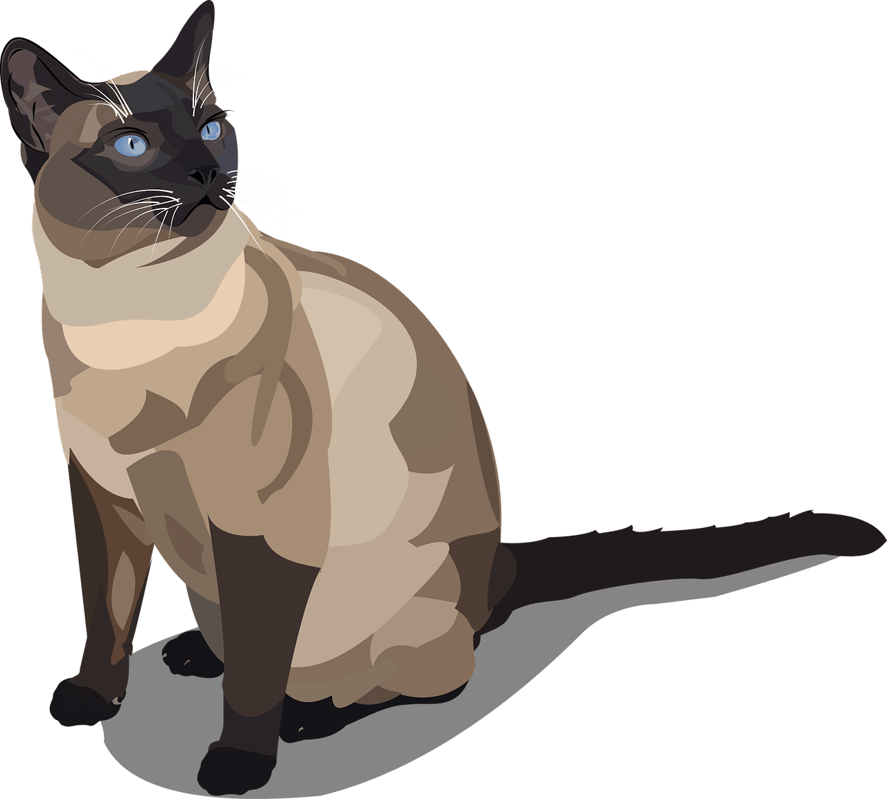 entdecken sie in unserem blog alles über den kater – von den ursachen bis zu bewährten hausmitteln. erfahren sie, wie sie die symptome lindern und zukünftige kater vermeiden können. lesen sie jetzt mehr über die besten tipps zur schnellen genesung!