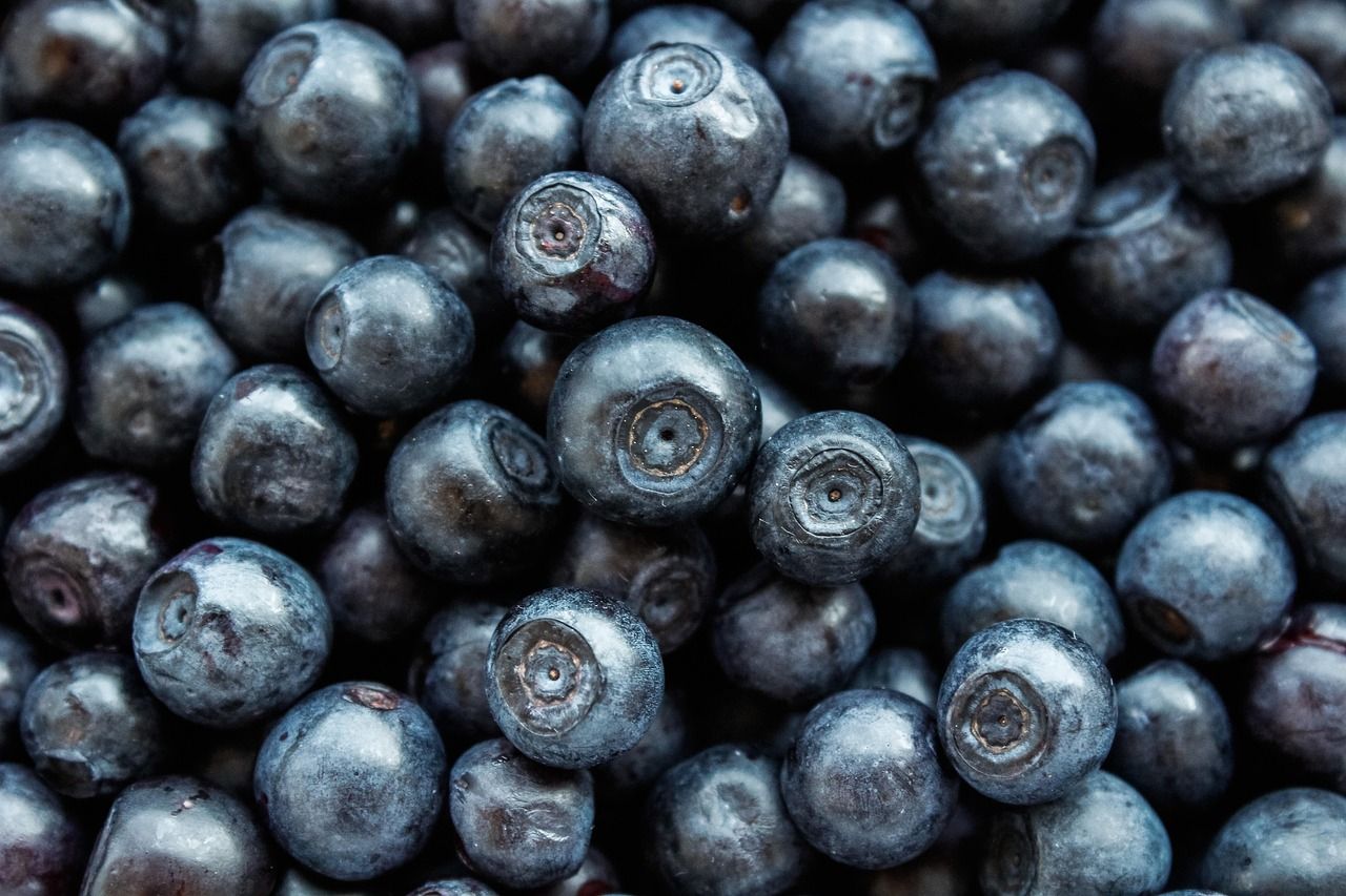 erfahren sie alles über gesunde ernährung, nützliche tipps und aktuelle trends rund um das thema nutrition.