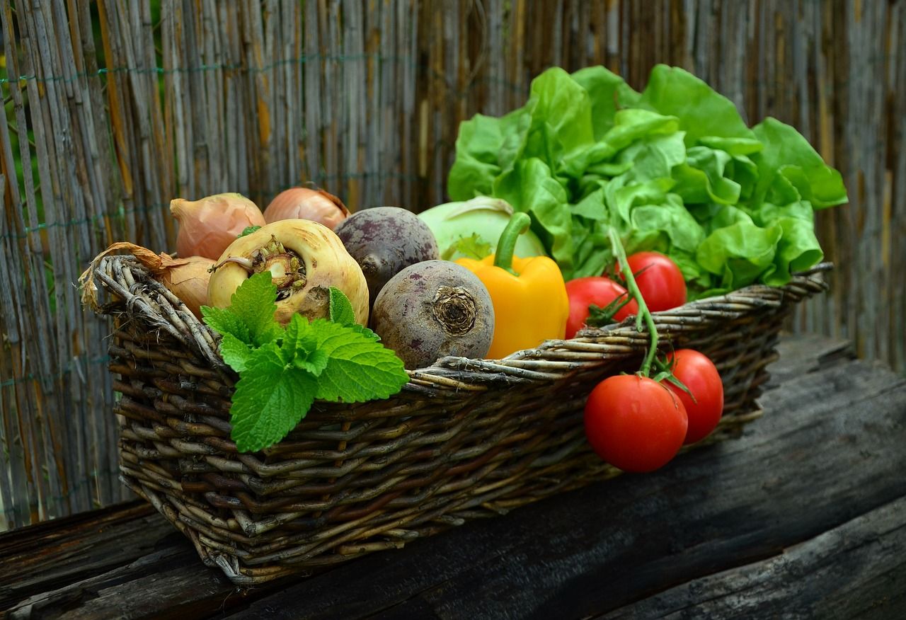 entdecken sie die welt der bio-lebensmittel! genießen sie gesunde, nachhaltige und schmackhafte produkte, die gut für sie und die umwelt sind. verbessern sie ihren lebensstil mit frischen, organischen zutaten.
