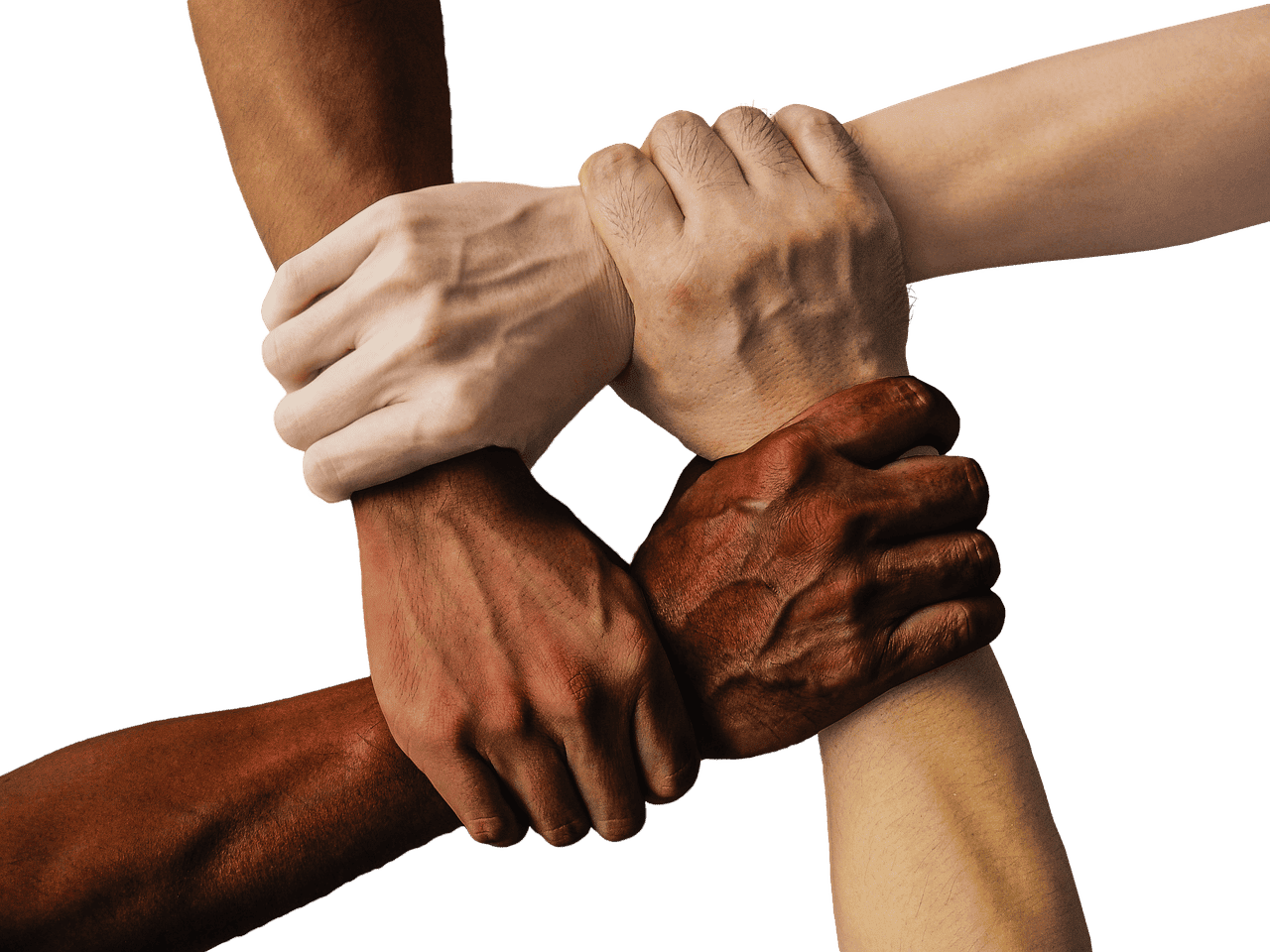 entdecken sie, wie freundschaften unser leben bereichern, unterstützung bieten und für unvergessliche momente sorgen. erfahren sie, warum echte freunde so wichtig sind!