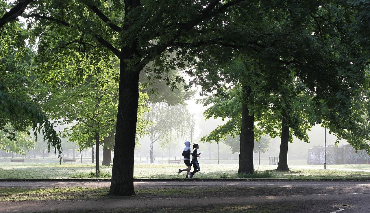 entdecken sie effektive übungen für fitness und gesundheit. tipps, trainingspläne und inspiration für anfänger und fortgeschrittene, um ihre körperliche leistungsfähigkeit zu steigern.