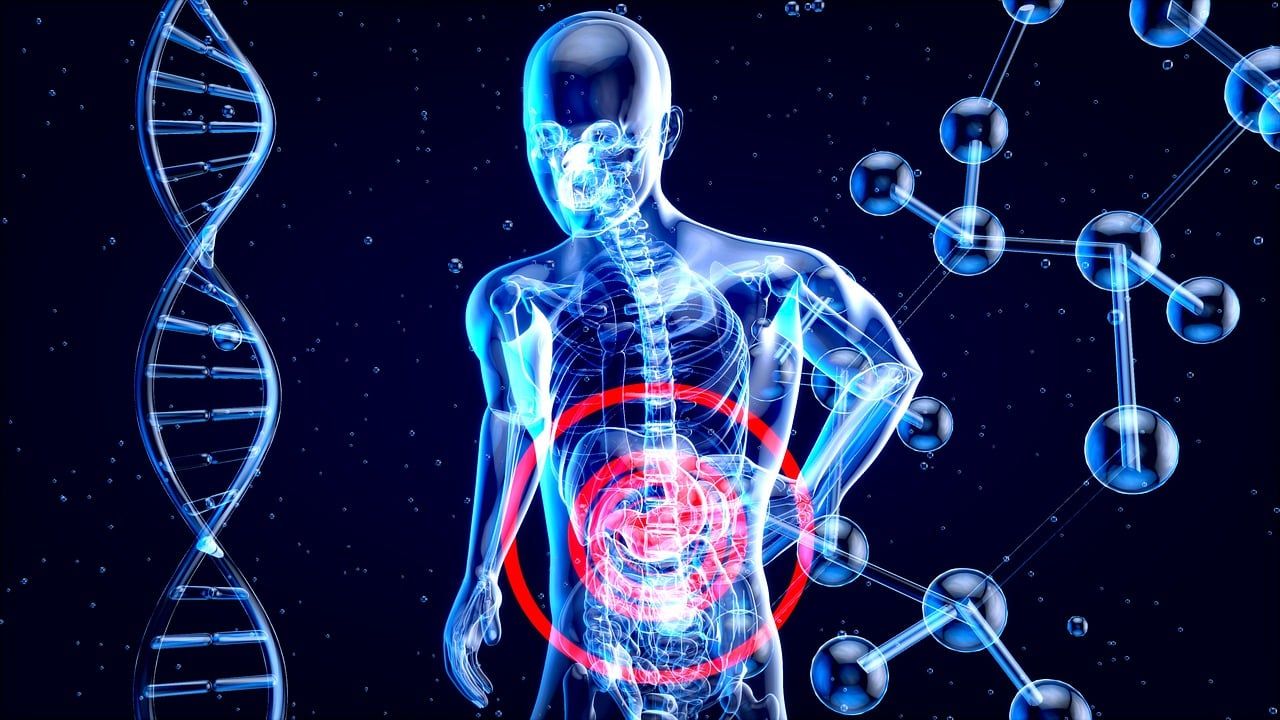 entdecken sie die faszinierende welt des guten mikrobioms und erfahren sie, wie es ihre gesundheit und ihr wohlbefinden beeinflusst. lernen sie, wie sie ihre darmflora fördern und das gleichgewicht in ihrem körper unterstützen können.