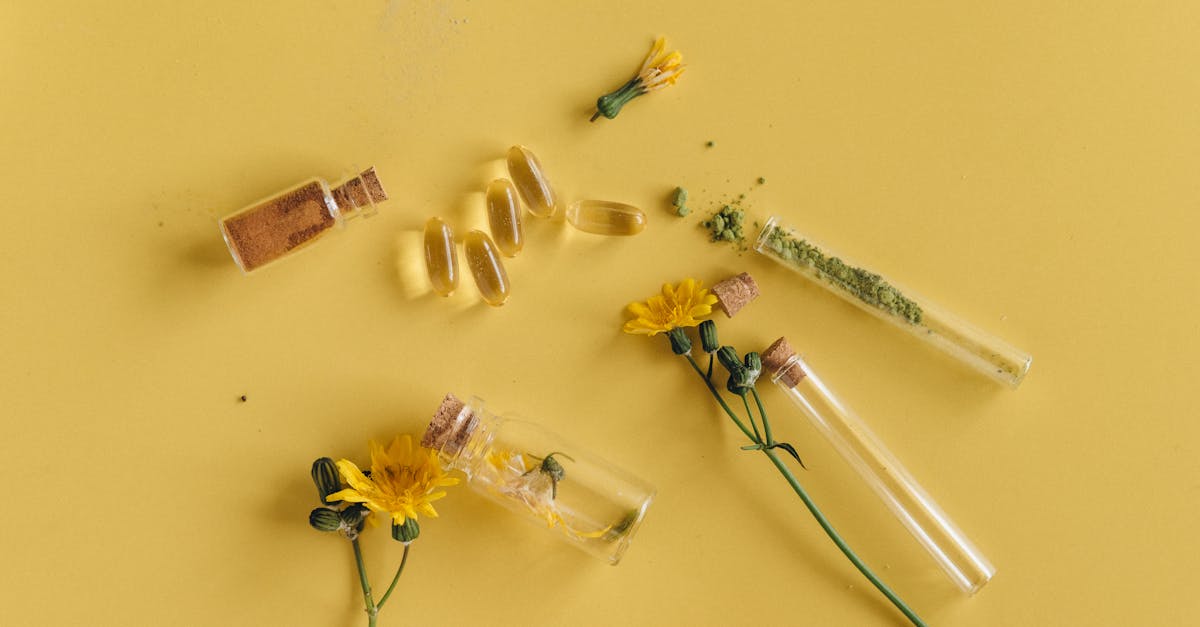 entdecken sie die heilende kraft der naturheilkunde. unsere ganzheitlichen ansätze fördern das wohlbefinden und die gesundheit durch natürliche therapien, individuelle betreuung und präventive maßnahmen.
