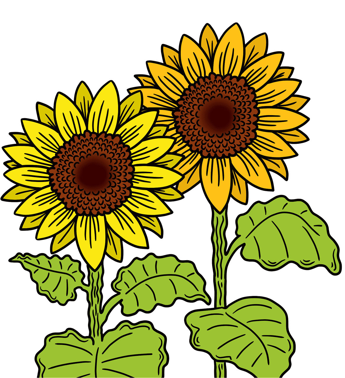 sonnenblume: entdecken sie die schönheit und bedeutung der strahlenden gelben blume, die für glück und wärme steht.