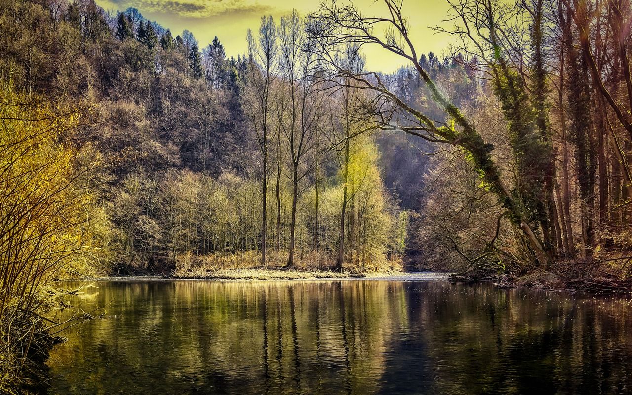 entdecken sie die ultimative entspannung mit unseren tipps und techniken. lassen sie den stress hinter sich und erleben sie momente der ruhe und gelassenheit. perfekt für körper und geist!