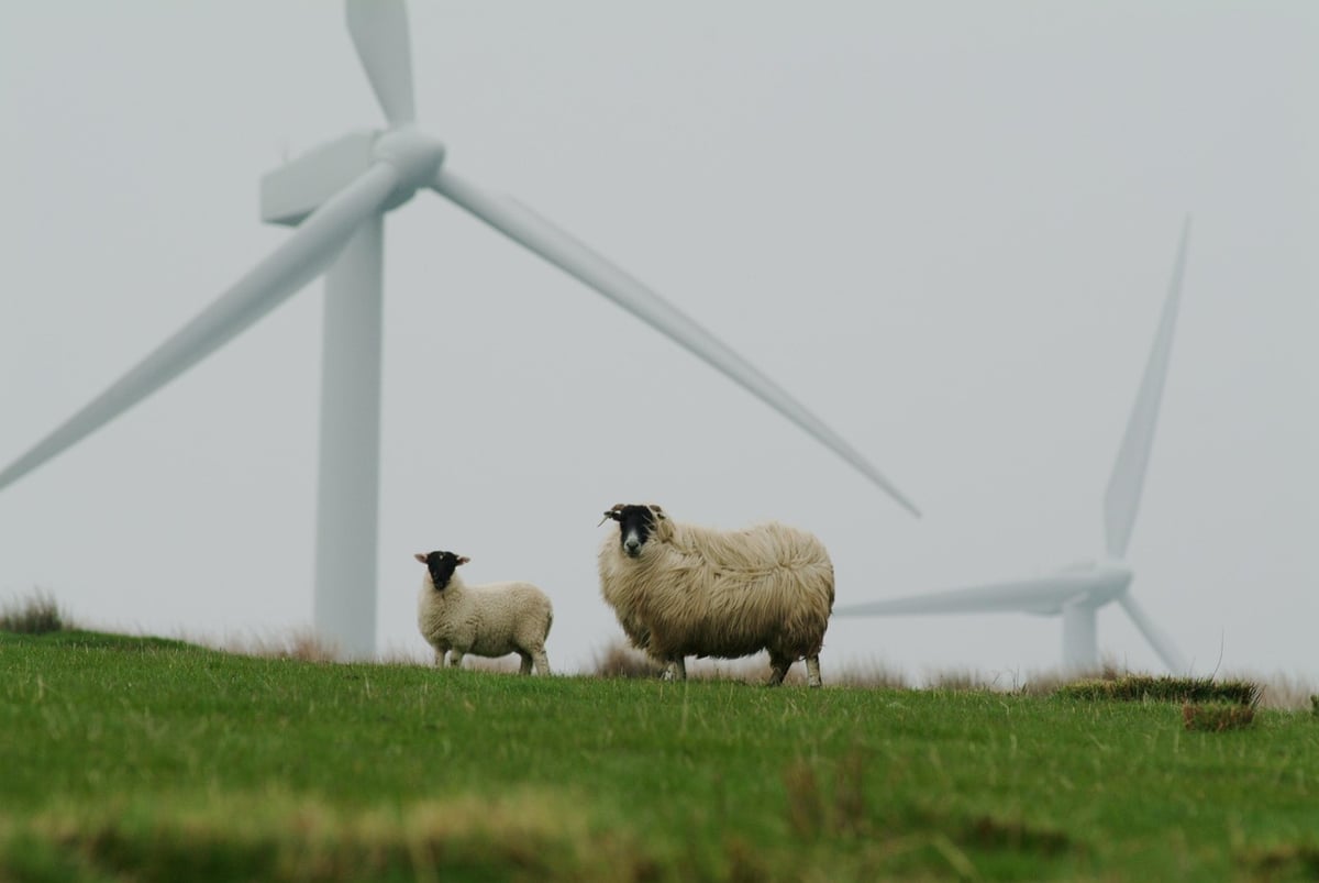 mit Green Care WALD neue Perspektiven und Möglichkeiten entdecken