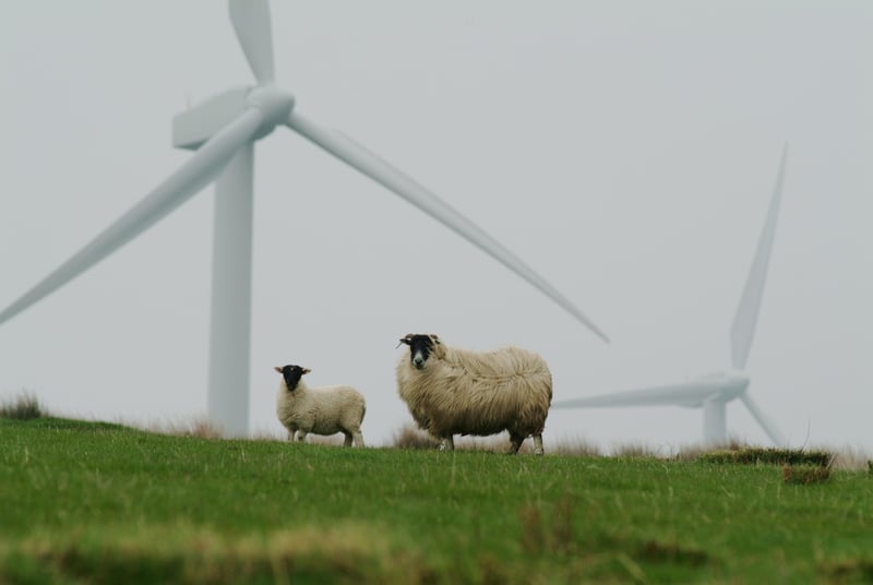 mit Green Care WALD neue Perspektiven und Möglichkeiten entdecken