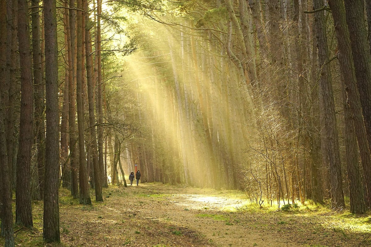 Die bemerkenswertesten wanderwege der welt