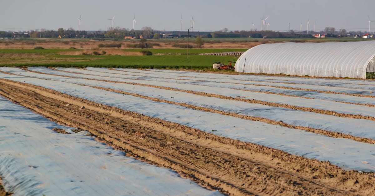 Agrartechnologie im Fokus: Die Zukunft der nachhaltigen Landwirtschaft