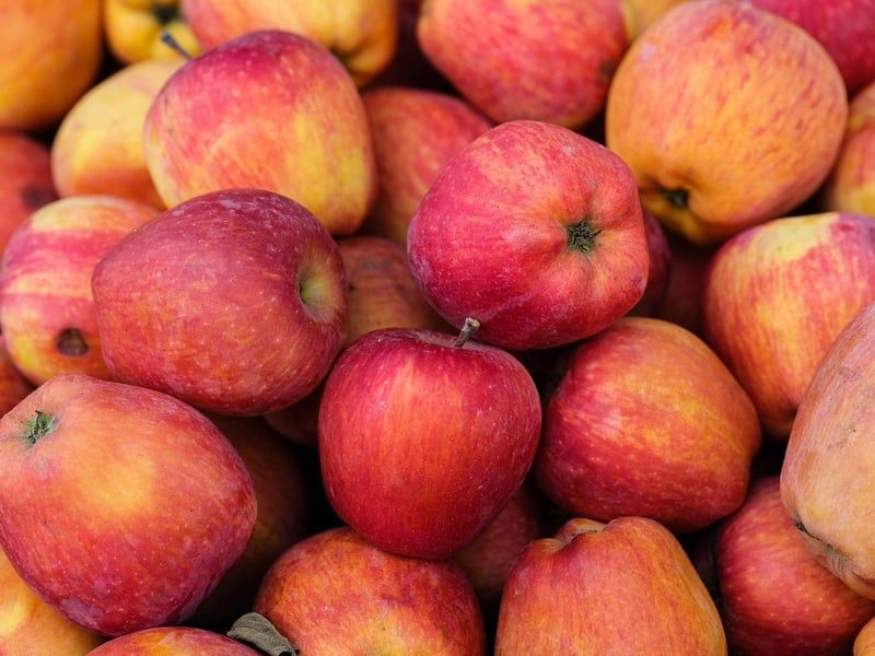 Die besten Märkte für frische Lebensmittel in Deutschland