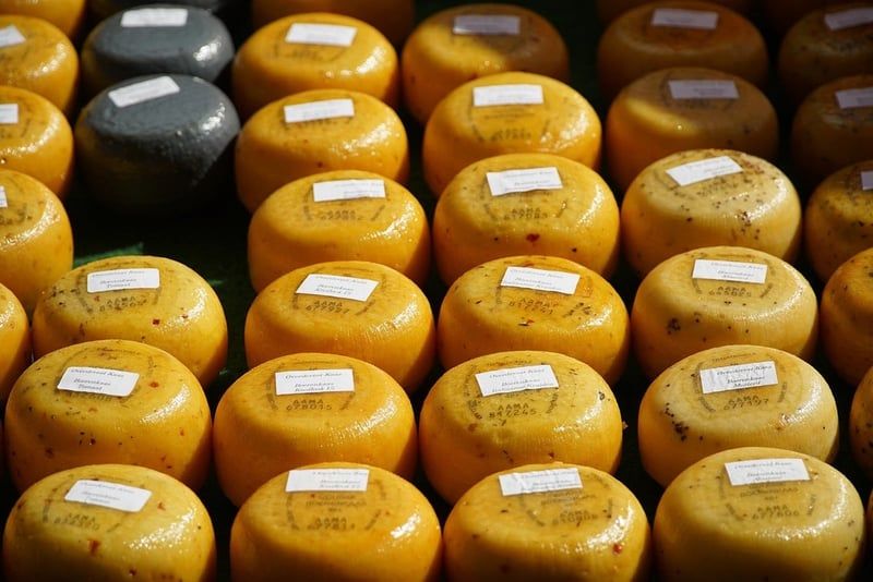 Käse aus verschiedenen Regionen Deutschlands