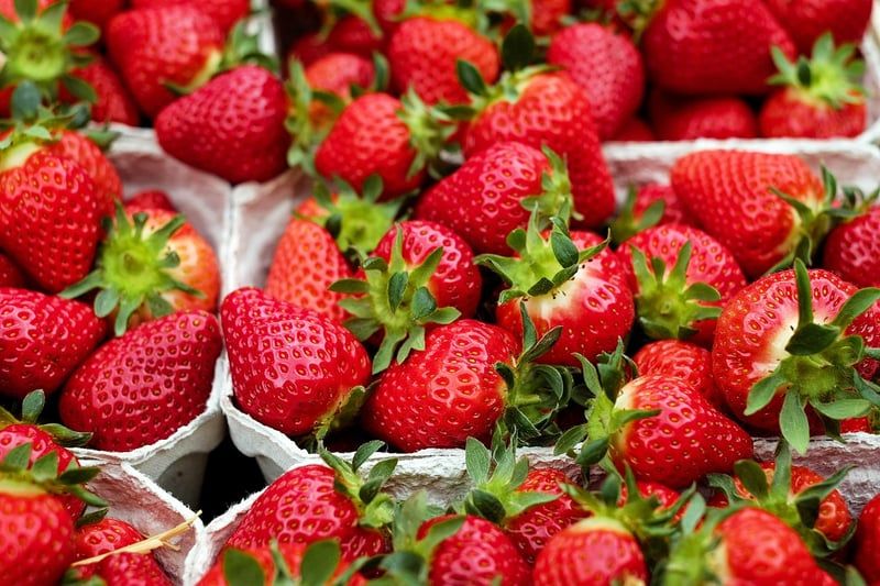 Genussvolle Ernährung und stille Wünsche – Pflegeexpertise mit Jenny entdecken