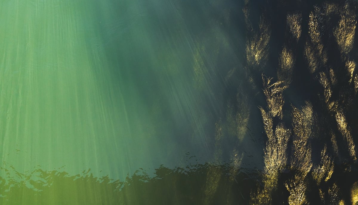 Faszination unterwasserwelt: tauchen im paradies