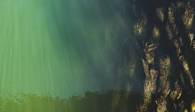 Faszination unterwasserwelt: tauchen im paradies