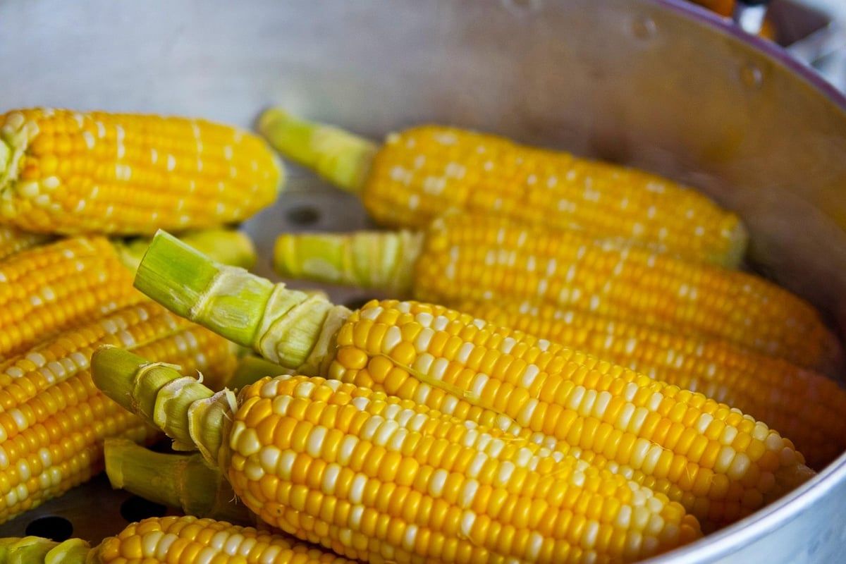 Landwirtschaftliche Woche Südhessen in Gernsheim: Ernährung – Mehr als nur Nahrung, ein Lebensstil?