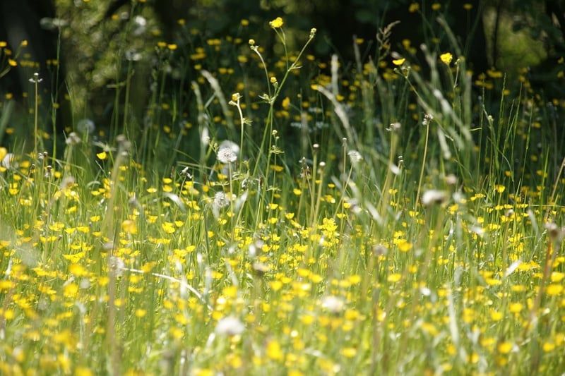 Essen für Allergiker: Woran man denken sollte