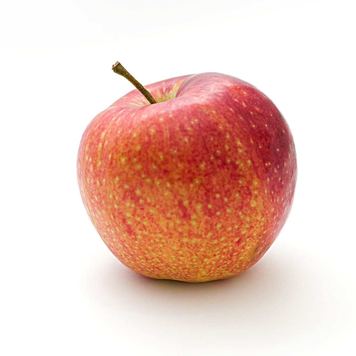 lebendig und vielfältig: die faszinierende welt des apple-handels