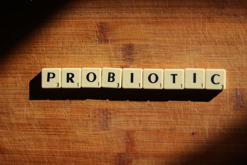Die Bedeutung von Probiotika für die Verdauung
