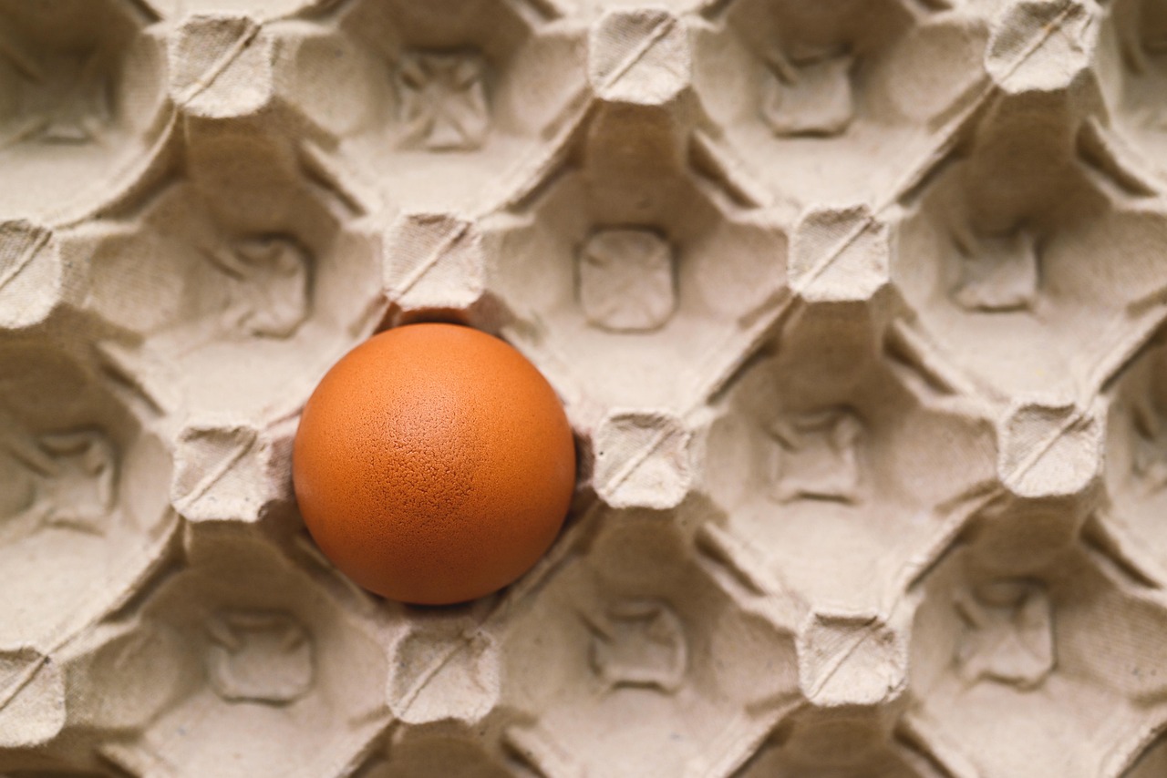 Lebensmittelvorräte für eine bessere Ernährung anlegen