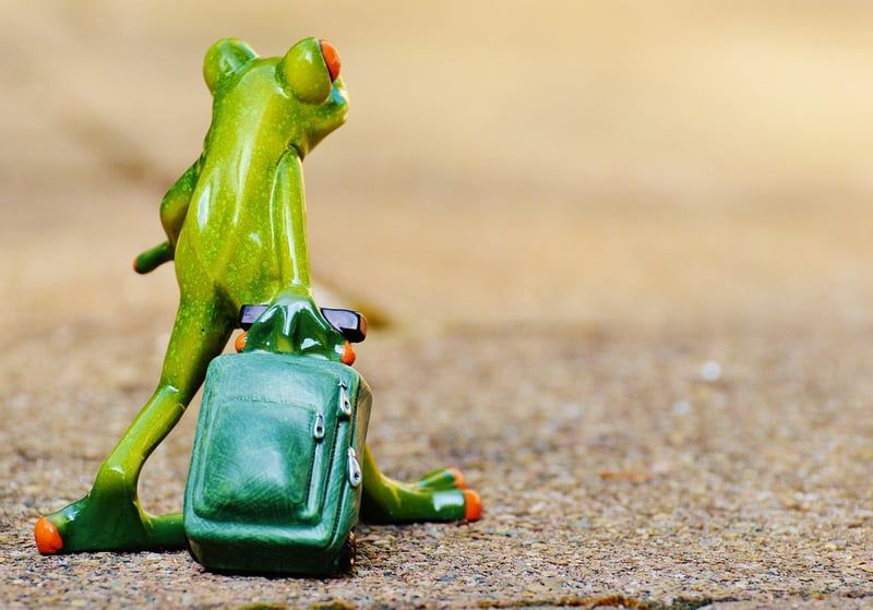 Reisen mit Herzproblemen: Tipps für einen sicheren und entspannten Urlaub