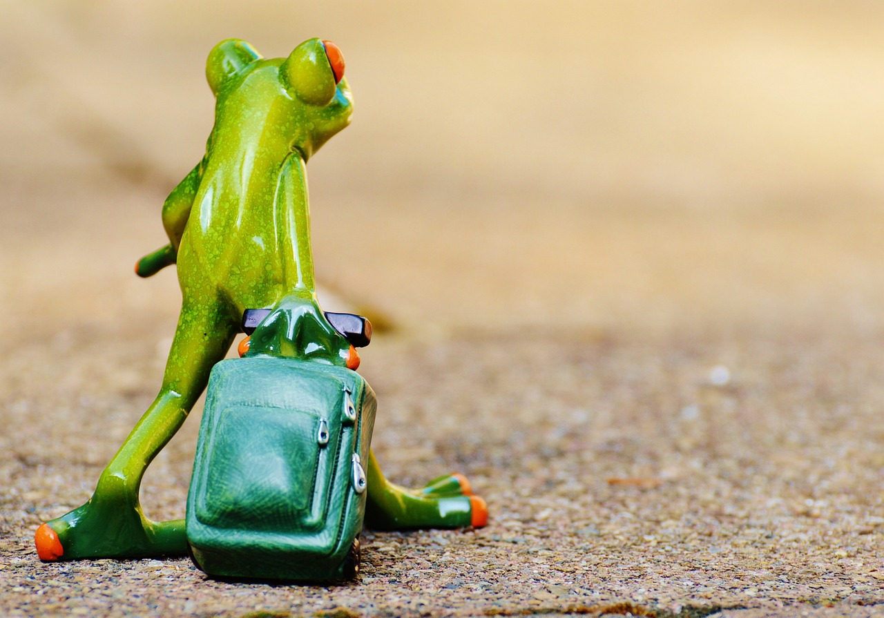 Reisen mit Herzproblemen: Tipps für einen sicheren und entspannten Urlaub