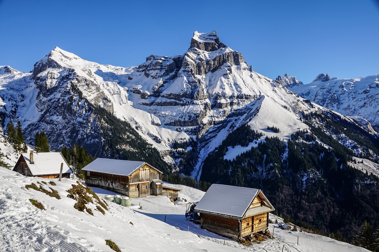 Die Top-Skihelme: Unverzichtbarer Schutz für Sicherheit beim Skifahren