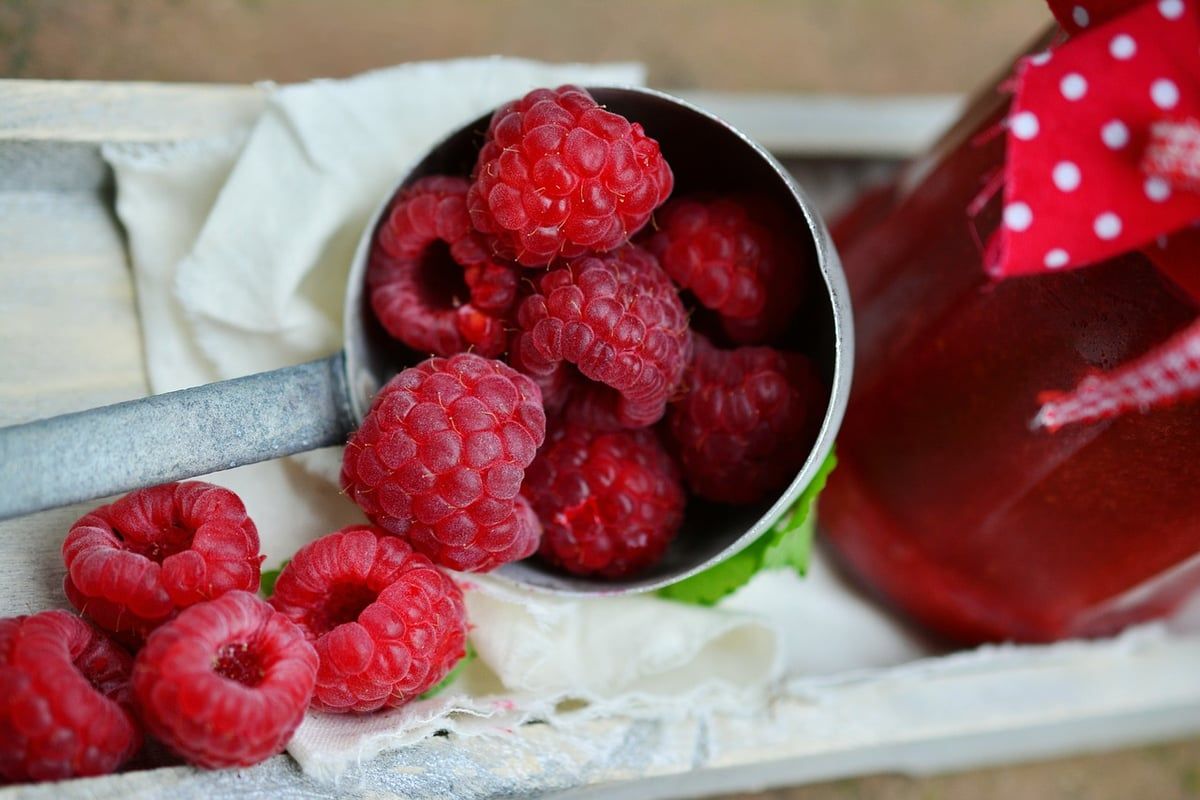 Die besten Beeren der Saison