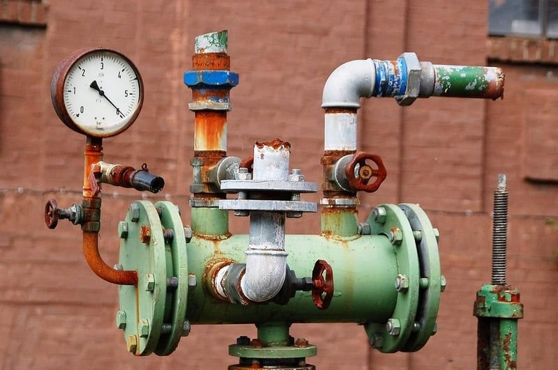 Hessische Grüne: Ewalds Reiseaffäre sorgt für wenig Aufsehen unter den Mitgliedern