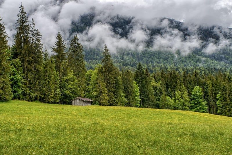 Paarverhalten: Die Bedeutung gemeinsamer Freizeit ohne Partner