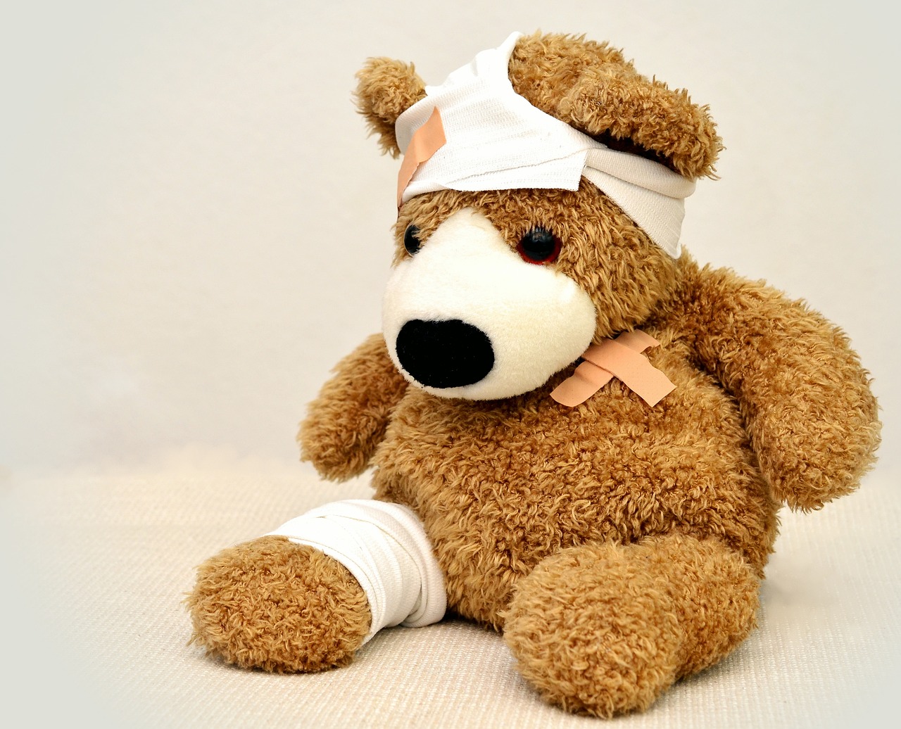 Friedberg: Entdecken Sie die Teddy-Erlebniswelt im Wittelsbacher Schloss – von aufregenden Reisen bis hin zu spannenden Ritterspielen!