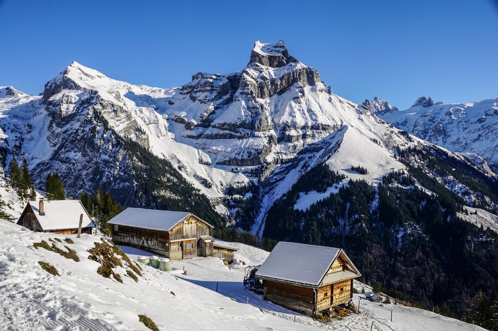 entdecken sie die besten skihelme für optimalen schutz und komfort auf der piste. unsere auswahl bietet langlebige materialien, modernes design und eine perfekte passform, damit sie sicher und stilvoll ski fahren können.