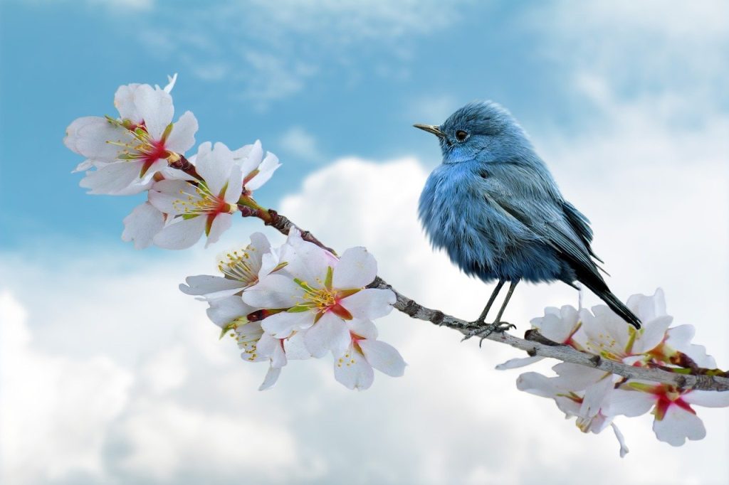 entdecken sie die faszinierende welt der natur, von atemberaubenden landschaften bis zu einzigartigen tierarten. lassen sie sich von der schönheit und vielfalt der natur inspirieren und erfahren sie, wie wichtig der schutz unserer umwelt ist.