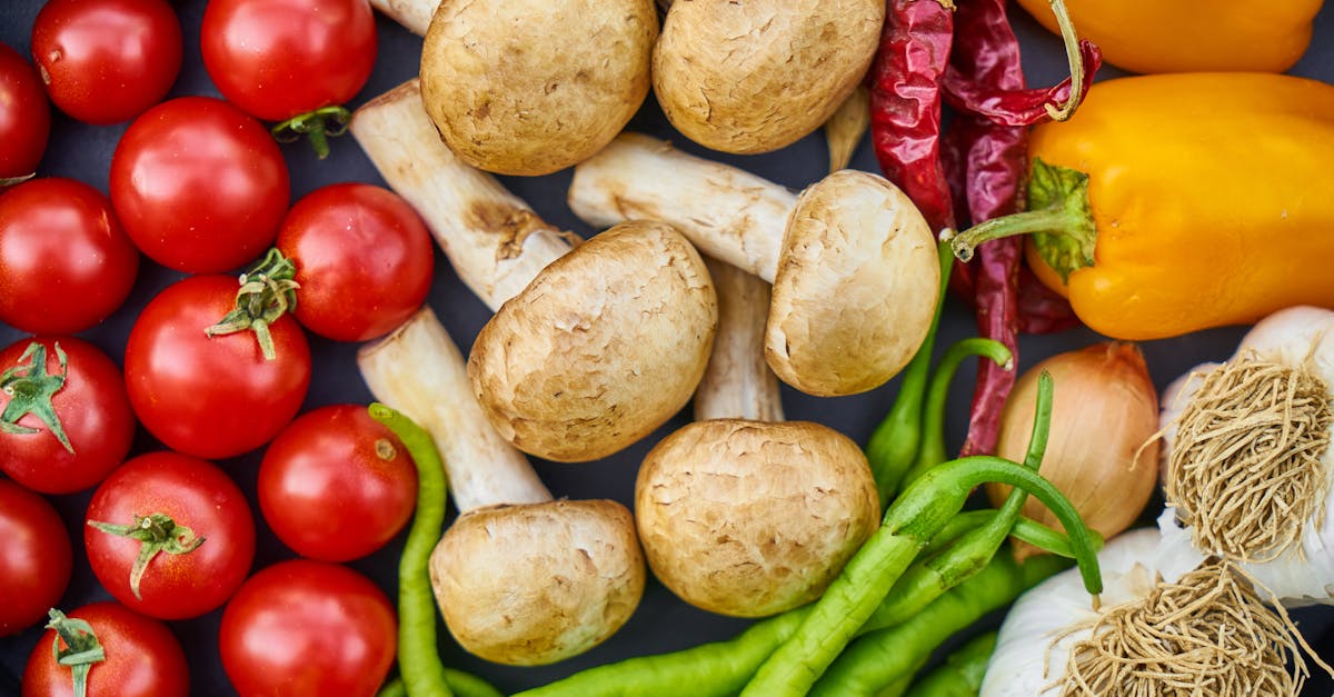 entdecken sie die grundlagen der ernährung, erfahren sie, wie sie gesunde essgewohnheiten entwickeln können, und lernen sie, welche nährstoffe ihr körper benötigt, um optimal zu funktionieren.