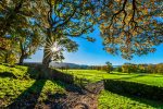 erleben sie einen unvergesslichen urlaub auf dem bauernhof! genießen sie die natur, interagieren sie mit tieren und entdecken sie das landleben in seiner schönsten form. ideal für familien und naturliebhaber!