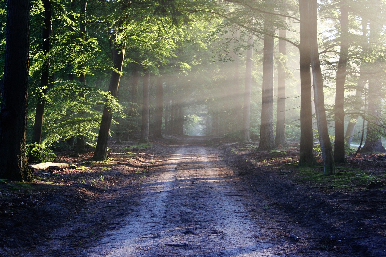 entdecken sie die schönheit der natur mit eindrucksvollen landschaften, faszinierenden tieren und inspirierenden erlebnissen. tauchen sie ein in die welt der natur und erleben sie unvergessliche abenteuer in der wildnis.