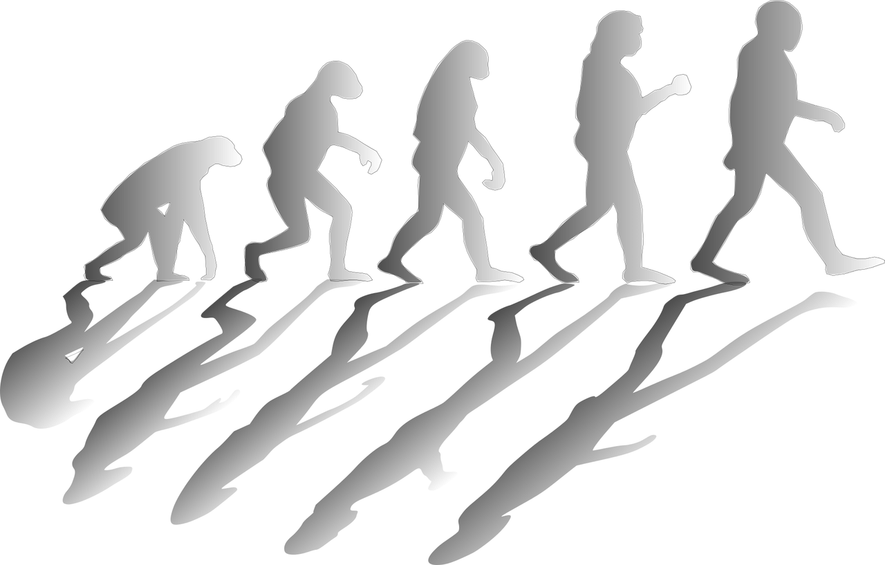 entdecken sie die faszinierende entwicklung von arten und ideen im laufe der geschichte. tauchen sie ein in die konzepte der evolution und lernen sie, wie veränderungen das leben und die umwelt geprägt haben.