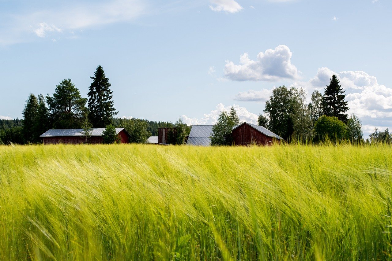 erleben sie unvergessliche farmurlaube inmitten der natur! genießen sie authentische bauernhof-aktivitäten, frische produkte direkt vom feld und entspannende tage auf dem land. ideal für familien und naturfreunde.