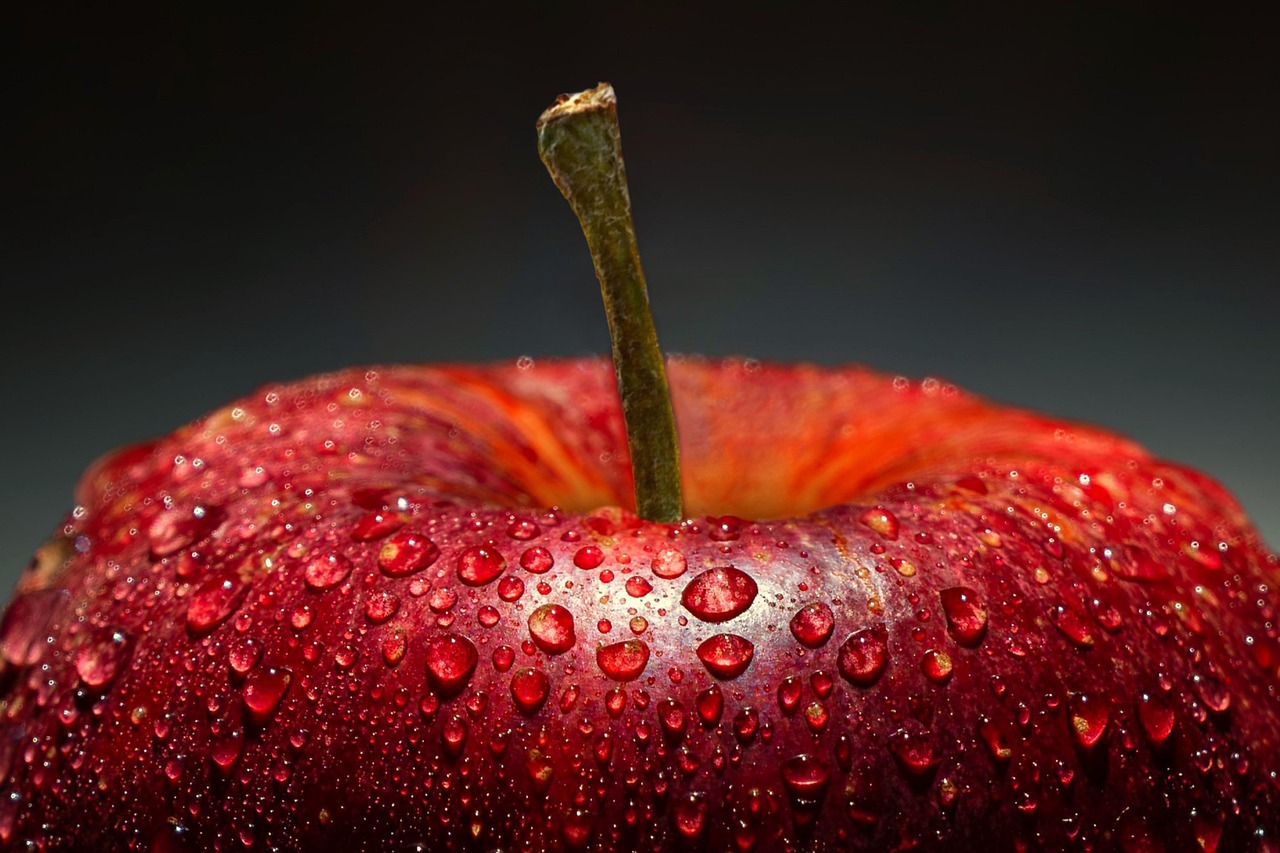 entdecken sie die gesundheitlichen vorteile von fermentierten lebensmitteln! erfahren sie mehr über die vielfalt, die zubereitung und die positiven auswirkungen auf ihr wohlbefinden durch probiotische nahrungsmittel.