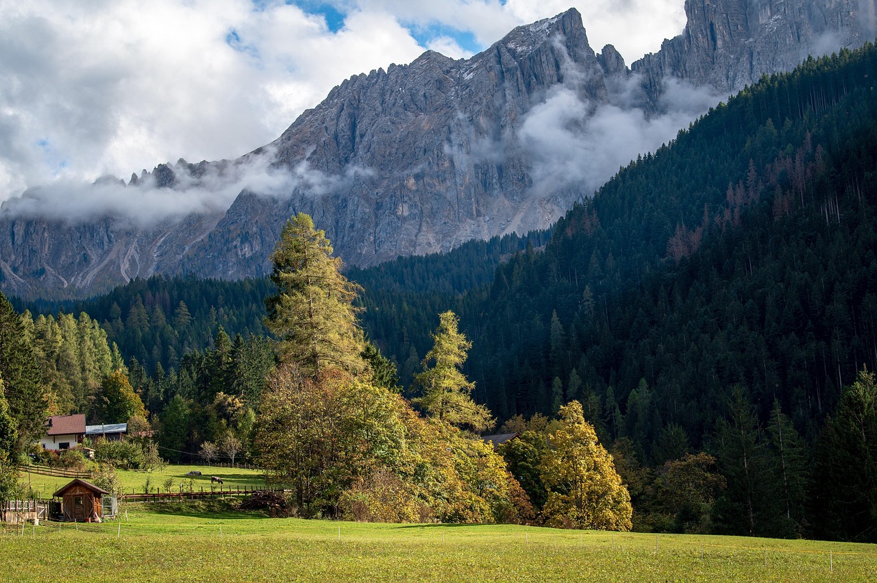 entdecken sie die vorteile von sonnenlicht für ihr wohlbefinden und ihre gesundheit. erfahren sie, wie sonnenstrahlen ihre stimmung heben, vitamin d fördern und ein positives ambiente schaffen können.