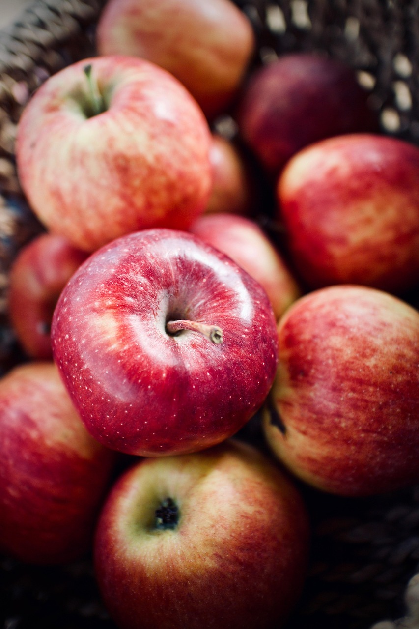 entdecken sie die wichtigsten aspekte der ernährung, lernen sie über gesunde essgewohnheiten, ausgewogene ernährung und nahrhafte lebensmittel für ein besseres wohlbefinden.