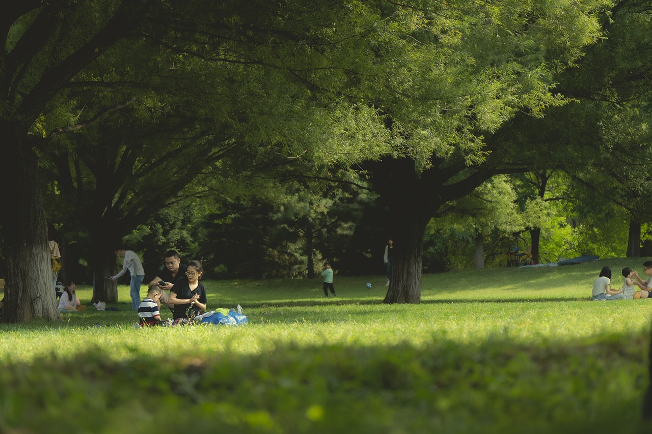 entdecken sie köstliche und einfache picknick-rezepte, die perfekt für einen entspannten tag im freien geeignet sind. von frischen salaten bis zu herzhaften snacks – finden sie inspirierende ideen für ihr nächstes picknick!