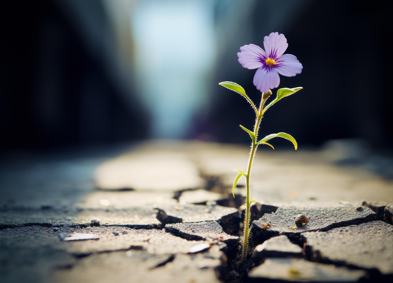 entdecken sie die kraft der resilienz: wie sie herausforderungen meistern, stress abbauen und ihre mentale stärke entwickeln können. lernen sie strategien, um in schwierigen zeiten stark und anpassungsfähig zu bleiben.