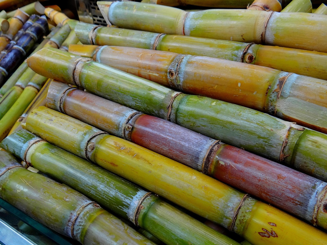 entdecken sie die vielfältige welt des zuckers – von seinen herkunft bis zu seinen anwendungen in der küche. erfahren sie mehr über die unterschiedlichen zuckerarten, deren gesundheitliche aspekte und tipps für einen bewussten konsum.