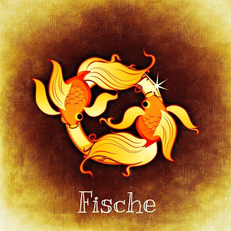 entdecken sie die faszinierende welt der astrologie mit unseren umfassenden horoskopen. erfahren sie, was die sterne für sie bereithalten und lassen sie sich von unserem täglichen, wöchentlichen und monatlichen inhalt inspirieren.