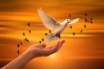 entdecken sie die tiefsten geheimnisse ihrer seele mit unserem leitfaden zur seelenforschung. erfahren sie, wie sie innere harmonie und selbstverwirklichung erreichen können.