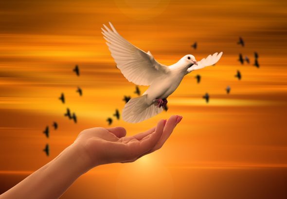 entdecken sie die tiefsten geheimnisse ihrer seele mit unserem leitfaden zur seelenforschung. erfahren sie, wie sie innere harmonie und selbstverwirklichung erreichen können.