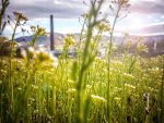 entdecken sie nachhaltiges reisen: umweltfreundliche tipps und verantwortungsbewusste reiseziele, um die natur zu schützen und gleichzeitig unvergessliche erlebnisse zu sammeln.