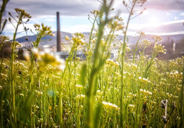 entdecken sie nachhaltiges reisen: umweltfreundliche tipps und verantwortungsbewusste reiseziele, um die natur zu schützen und gleichzeitig unvergessliche erlebnisse zu sammeln.