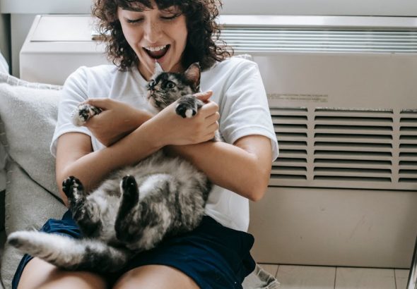 entdecken sie umfassende tipps zur katzenpflege, die ihnen helfen, ihre katze gesund und glücklich zu halten. von der ernährung bis zur hygiene bieten wir wertvolle ratschläge für alle katzenliebhaber.